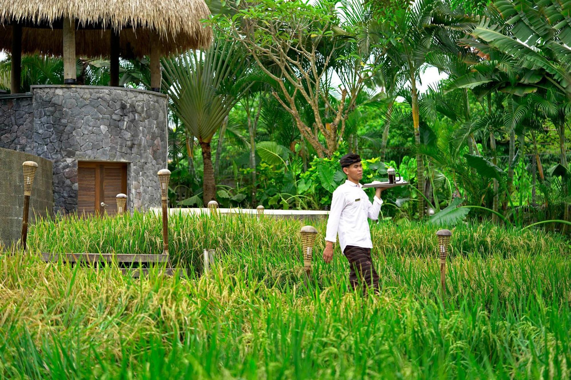 Lalasa Villas Canggu Exterior photo